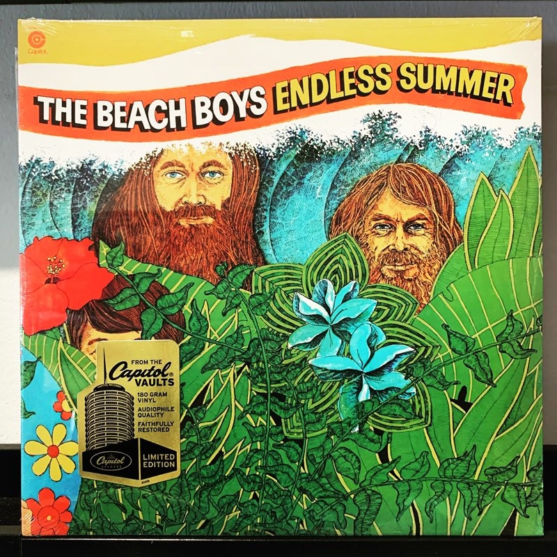 The Beach Boys  Endless Summer