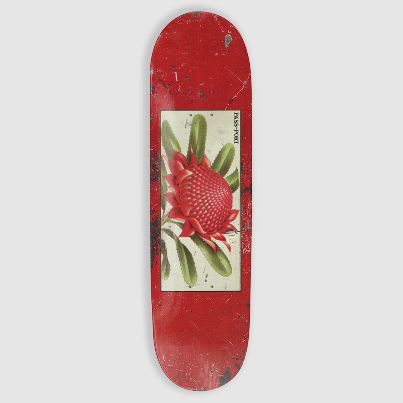 Pass Port Skateboards – 8.0 Waratah Tin Floral Series Deck (Red)