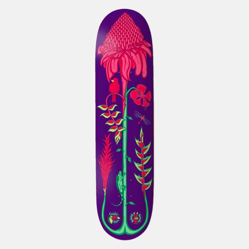 The Drawing Boards – 8.0 Costa Rica Torch Ginger Skateboard Deck