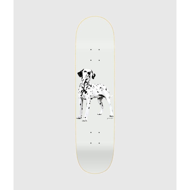 Quasi Skateboards Good Boy Skateboard Deck 8