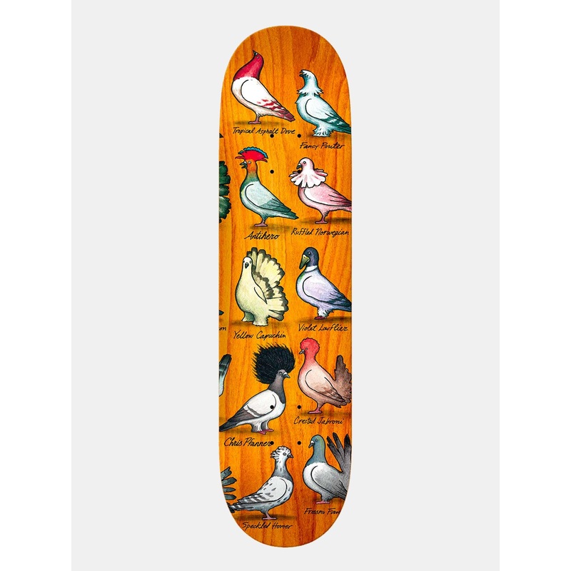 Antihero Deck Chris Pfanner Showpigeons – Assorted Stains