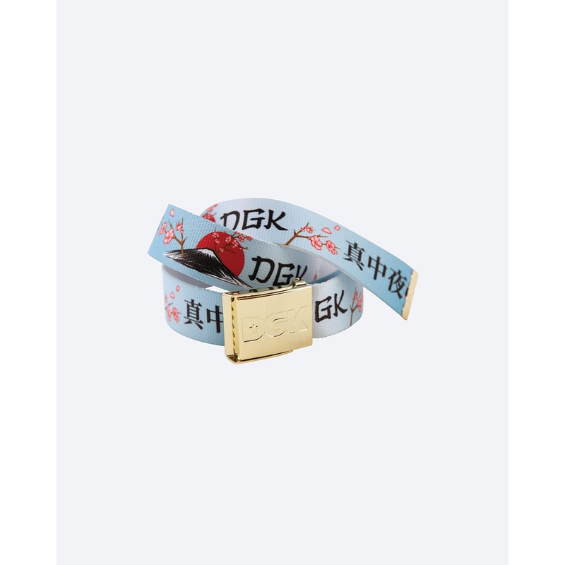 Accord Belt|Multi